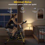 Exercise Bike, TCISA Indoor Stationary Bike for Home with Free Ultra-Cushy Bike Seat, Silent Belt Drive, Heavy Flywheel and for Home Gym Cardio Workout Training