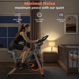 Exercise Bike, TCISA Indoor Cycling Bike with Heavy Flywheel, Free Ultra-Cushy Bike Seat, Silent Belt Drive, LCD Monitor for Home Gym Cardio Workout Training