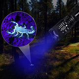 2 in 1 UV Tactical Flashlight Mini Ultraviolet Urine Detector