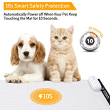 Keenstone™ Pet Training Mat for Off-Limit Areas