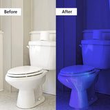 morpilot Black Light, 2 Pcs UV Handheld Blacklight Flashlights 12 Led 395nm Mini Light Torch Detector for Pets Urine and Stains