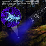 Morpilot UV Flashlight With Batteries, 2 in 1 Back Light & White Led Flashlight 5 Modes 500LM High Lumens Handheld Blacklight UV Torch Urine Detector for Spot Carpet Pet Urine Stain Catch Scorpions