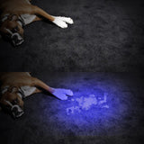 2 Pcs UV Handheld Flashlight Blacklight